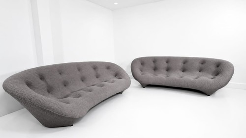 Stunning pair ligne roset - a,